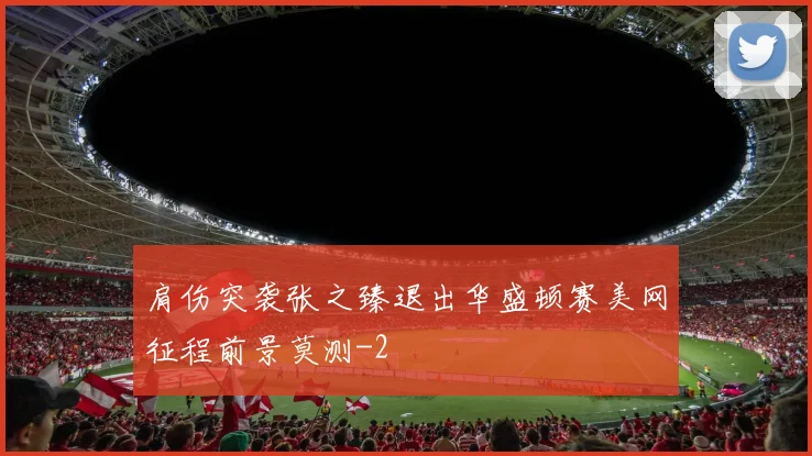 肩伤突袭张之臻退出华盛顿赛美网征程前景莫测